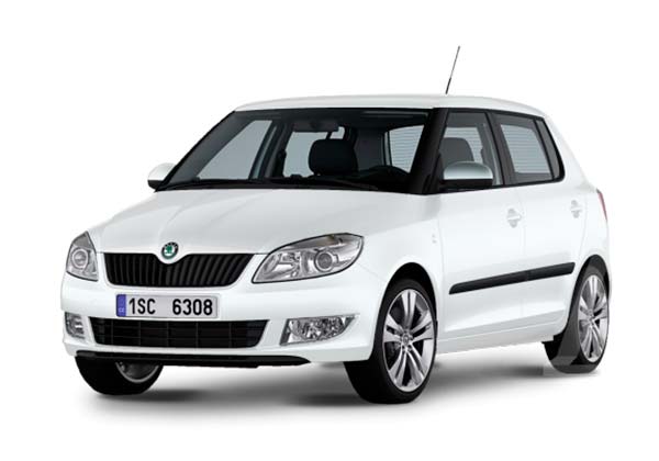EVA-коврики для Skoda/Шкода - любые модели и года выпуска
