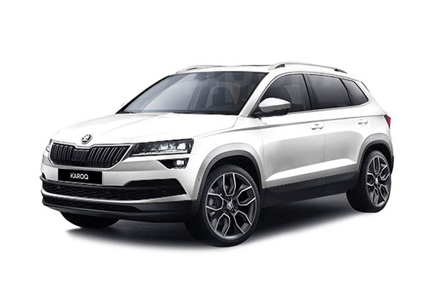 EVA-коврики для Skoda/Шкода - любые модели и года выпуска