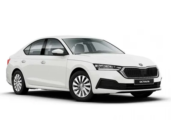 EVA-коврики для Skoda/Шкода - любые модели и года выпуска