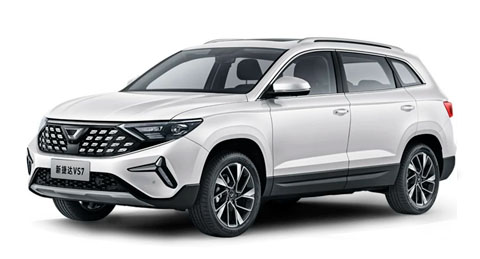 EVA-коврики для Hongqi HS5
